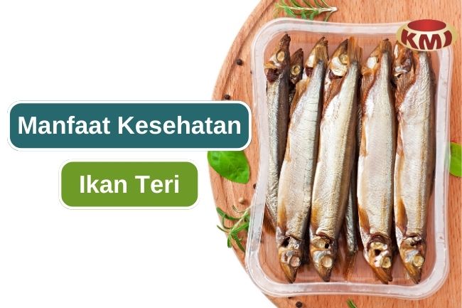 Makan Ikan Teri Bisa Memberi 7 Manfaat Kesehatan Ini